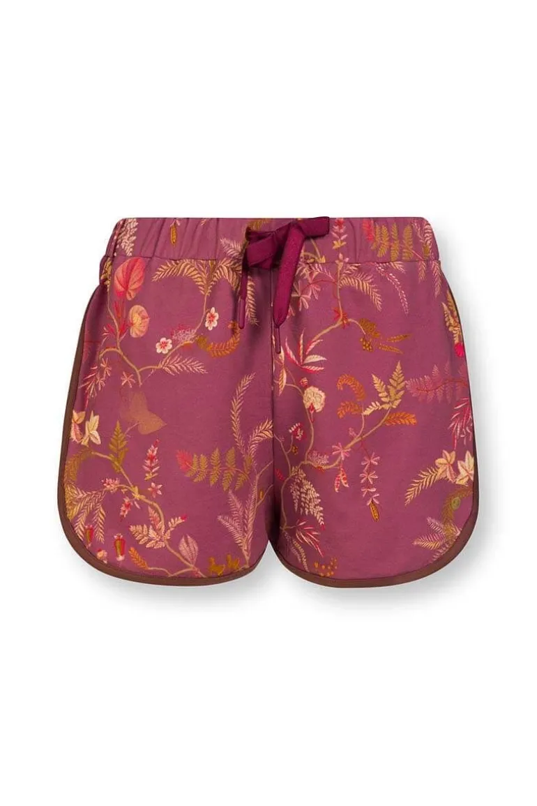Korte Broek Isola