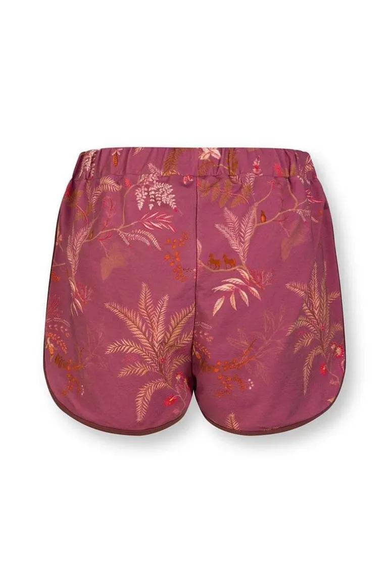 Korte Broek Isola