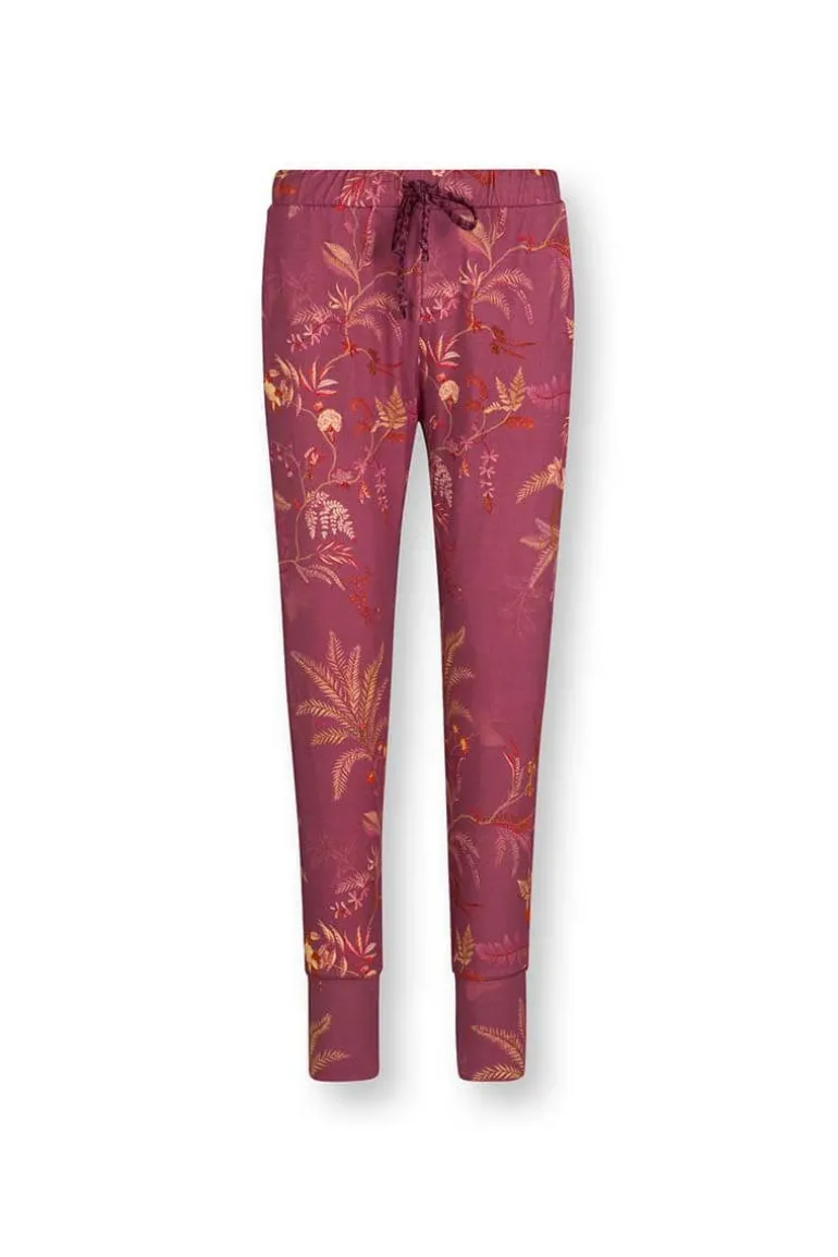 Lange Broek Isola