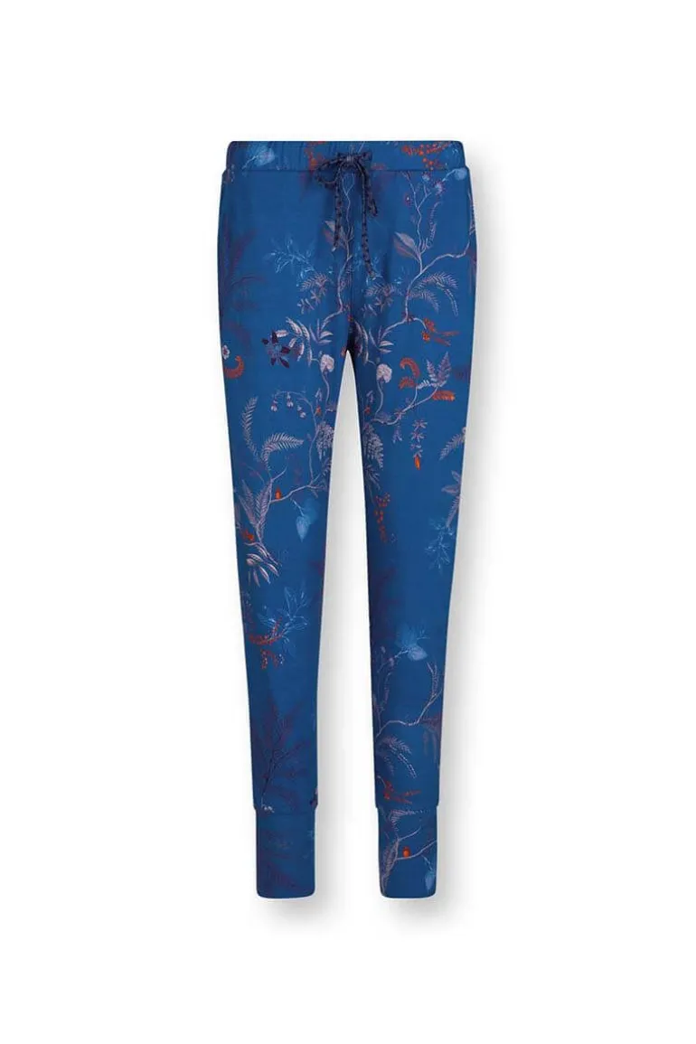 Lange Broek Isola