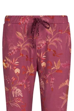 Lange Broek Isola