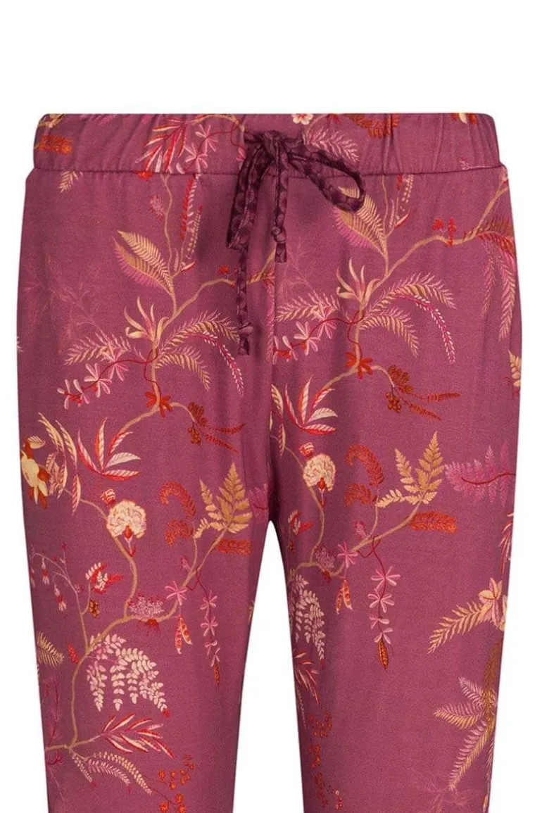 Lange Broek Isola