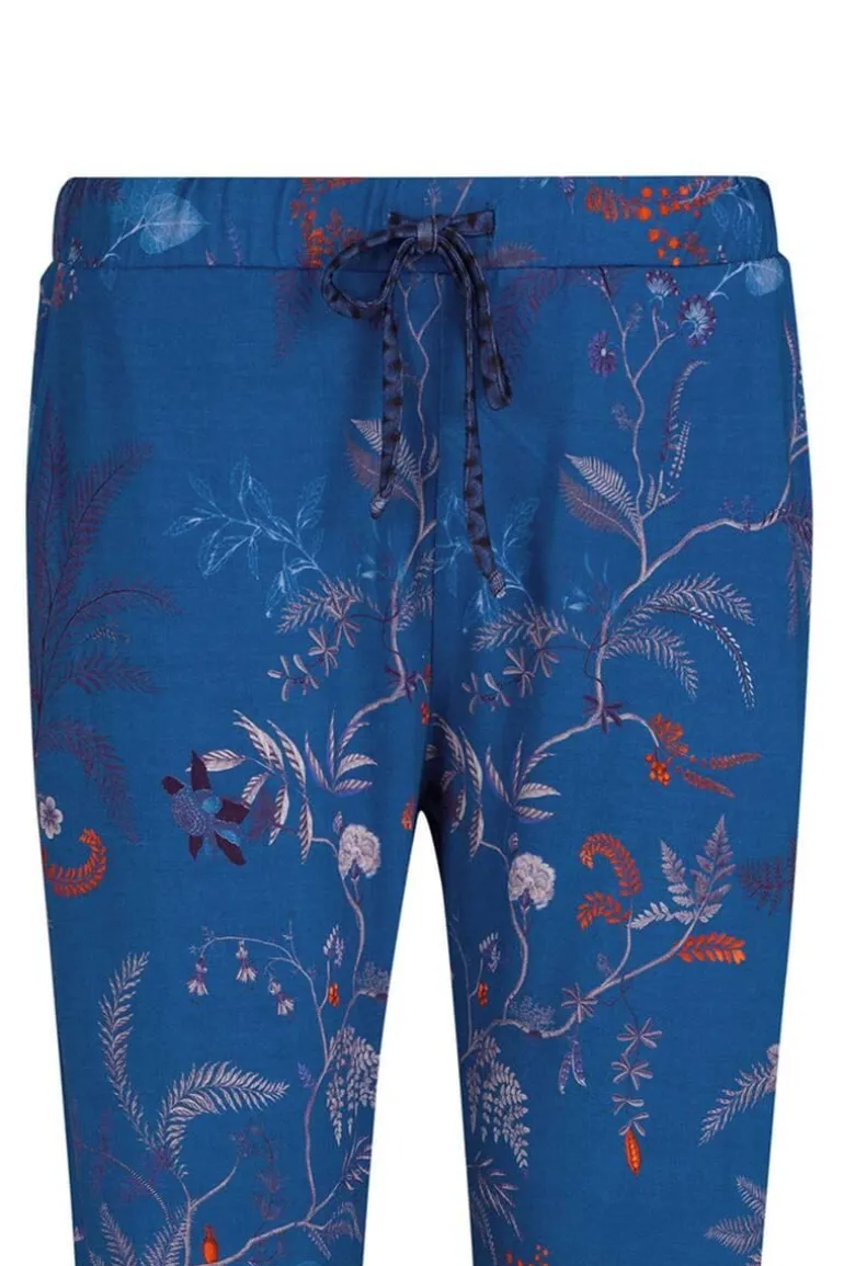 Lange Broek Isola