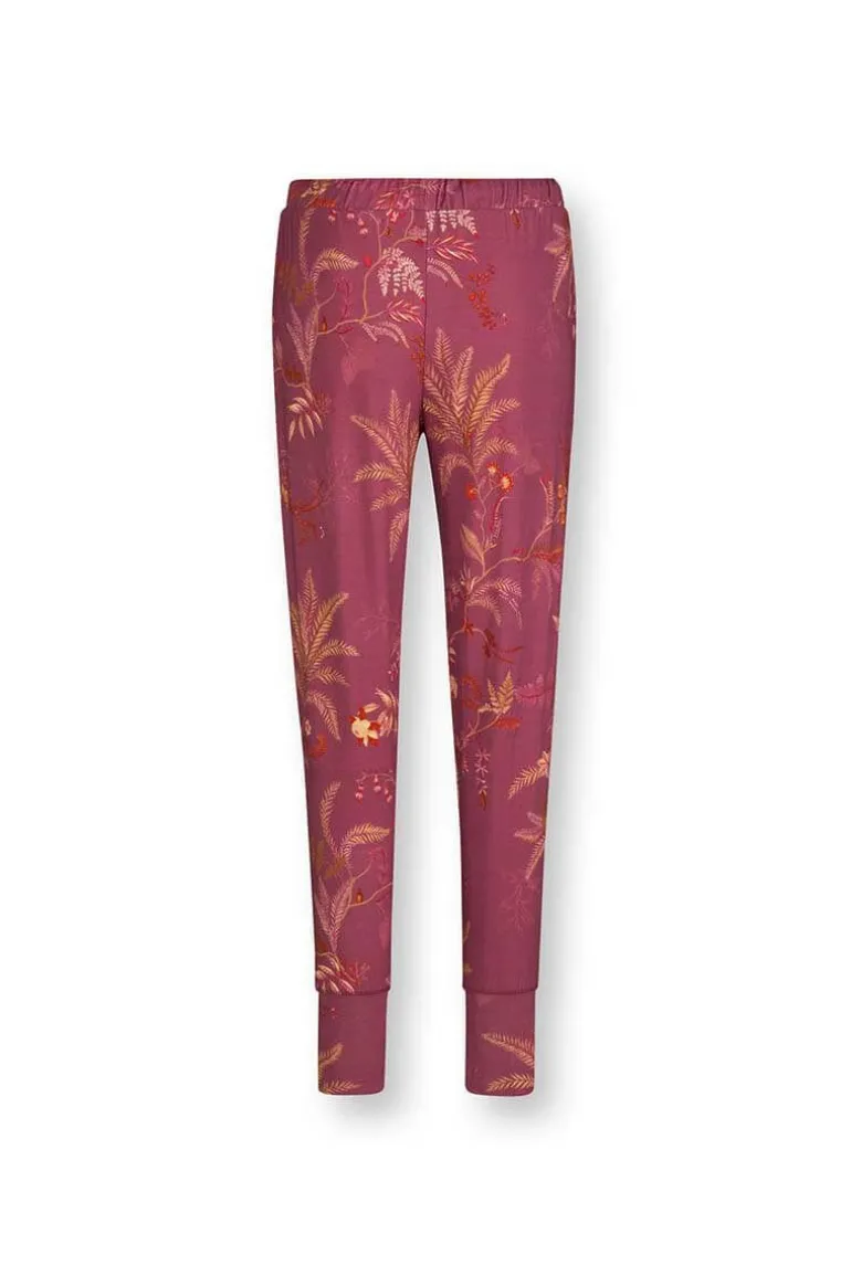 Lange Broek Isola