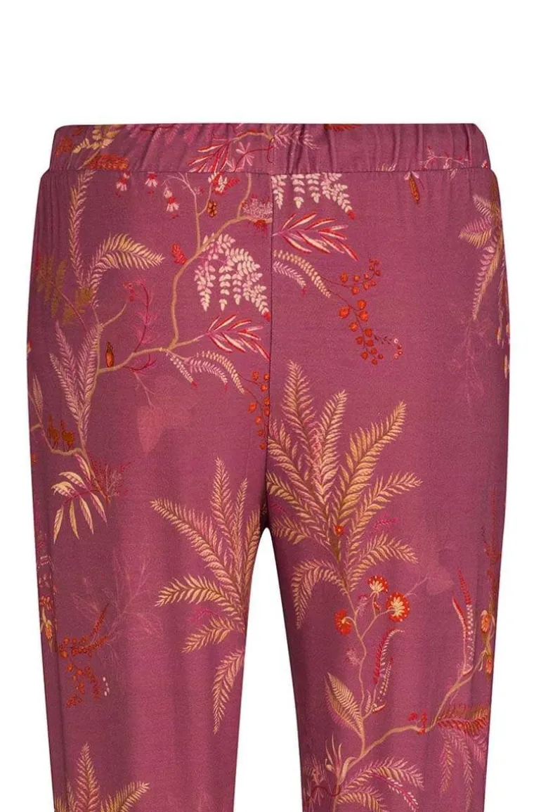 Lange Broek Isola