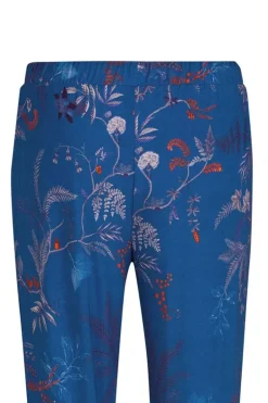 Lange Broek Isola