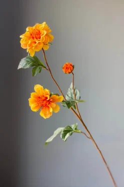 Pip Kunstbloemen Fall Beauty